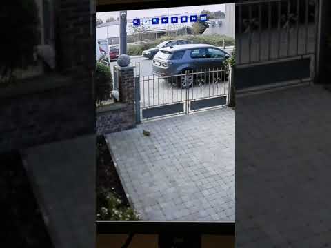 La livraison la plus rapide d'un livreur 😂 !