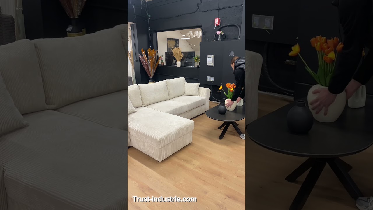 Meublez Votre Salon à Moins de 1500€ 🛋️✨ #Salon #inspiration