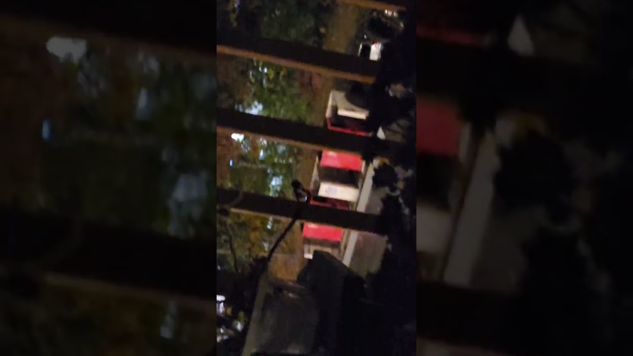 1023pm  loghts on bobs furniture lot  star 🌟 right corner trees 10 22 23