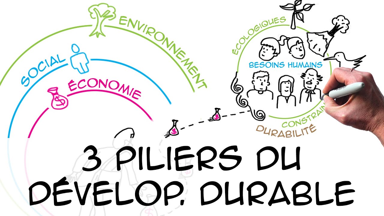 Les 3 piliers du développement durable (regard scientifique)