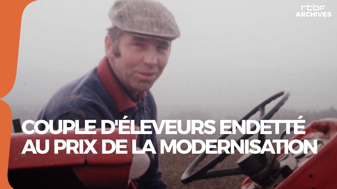 Un couple d'éleveurs endetté au prix de la modernisation en 1977 (Faits Divers) - RTBF Archives