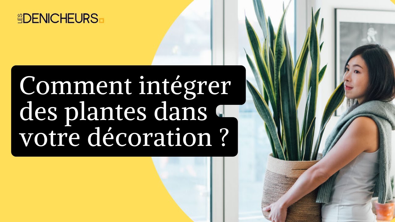 🌵  10 façons d’intégrer les plantes dans notre décoration ⚜️