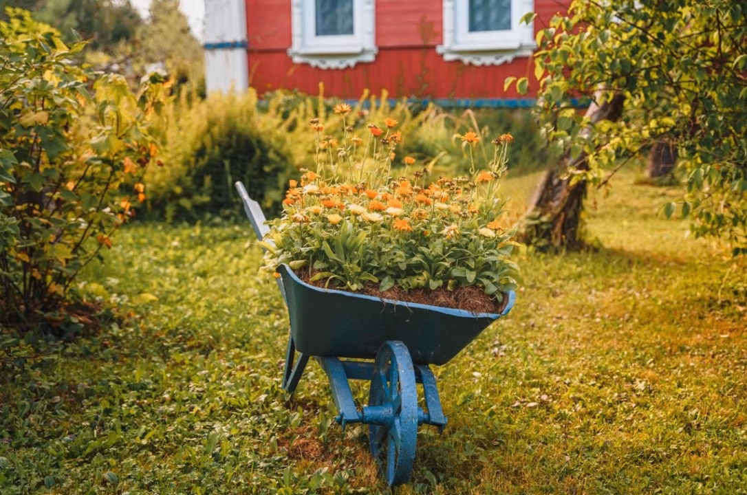 Arrosoir de jardin : comment bien choisir selon votre usage