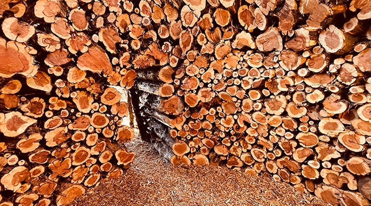 Pourquoi mon bois pourrit-il à la cave et comment y remédier