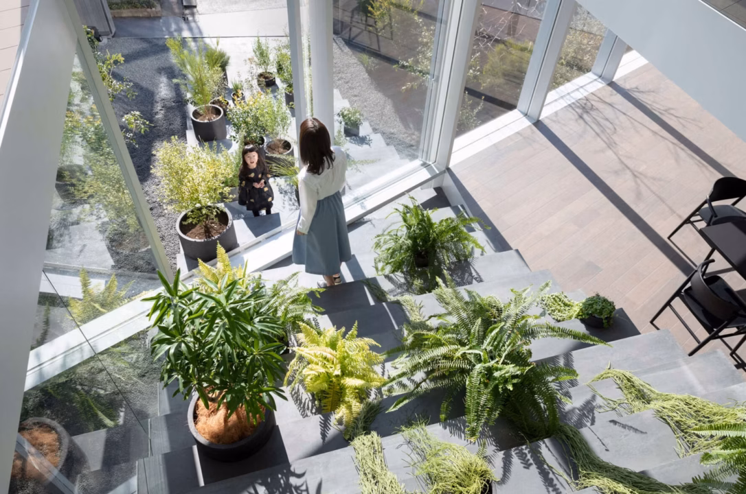 Comment choisir et entretenir des plantes vivaces pour balcon en 2026